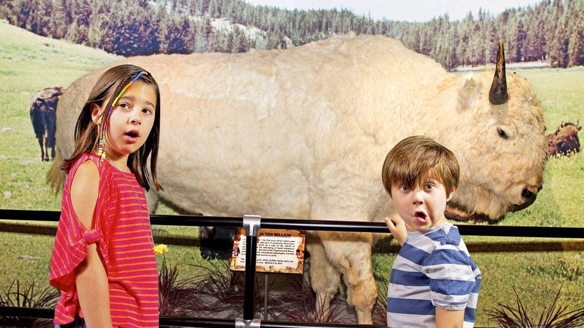 kids looking surprised at ripley's believe it or not museum in orlando